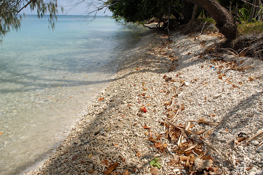 0875 Fitzroy Island.jpg